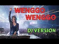 Lagu Wenggo Wenggo - Fajar Sadboy (Cover by LUNA - GLITZ UP) | DJ Electronic Version