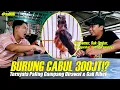 Lagu Rawatan Burung CABUL Sampai Juara Ditawar 300JT - Profesor Murai Part #1