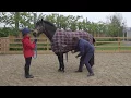 How to Apply a Stable Rug