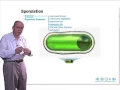 Download Lagu Sporulatie in Bacillus subtilis