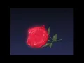 Saleka - Release (Slowed)