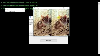 Secret Key Based Image Steganography Python Project Source Code IEEE Based Projects