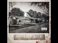Scarface - Rooted