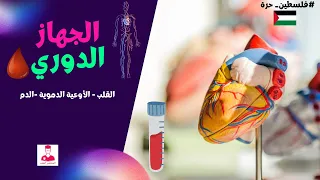 شرح الجهاز الدوري القلب الأوعية الدموية الدم الدورة الدموية  شرح الجهاز الدوري القلب الأوعية الدموية الدم الدورة الدموية