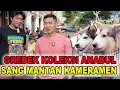 Download Lagu Grebek Koleksi Anabul Sang Mantan Kameramen