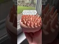 Is a scalp massager worth it
