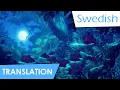 Download Lagu Two Worlds + reprises (Swedish) Lyrics \u0026 Translation