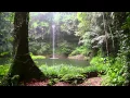 Download Lagu Sonido de Lluvia y los Animales del Bosque - HD Lluvia - Relajarse, Dormir