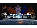 Arthropod Evolution A nearly perfect success story