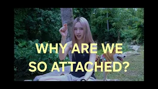 ทำไมเราถึงยึดติดกับภาพฝันของเราขนาดนั้น?