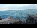 Beach Gif