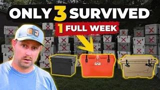 54 Coolers Tested Here s What Actually Won