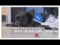 St Louis facility matches service dogs with deserving owners