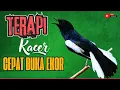 PANCINGAN KACER GACOR ISIAN BUKA EKOR | SEKALI DENGAR KACER APAPUN LANGSUNG EMOSI CEPAT BUNYI NEMBAK