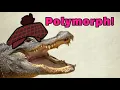 D D 5E Advanced guide to Polymorph