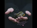 Bir seni olduğun gibi,  bir seni her şeye rağmen,  bir seni, hălâ...  💟