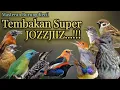 TEMBAKAN SUPER JOZZJIIZ‼️MATERI PANJANG-PANJANG.#masteranburung