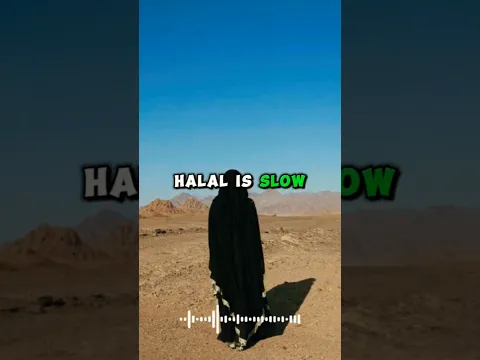 Why Halal is Slow