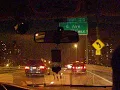 crusing in brooklyn لبيك غزة.