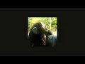 chris brown - red rum