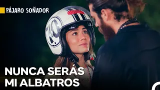 Aceptación Dolorosa... 💔- Pájaro Soñador