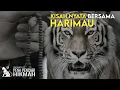 SEMALAM BERSAMA SEEKOR HARIMAU | PENA PENCARI HIKMAH