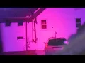 Dicyanin goggles as filter part 1 Quantum Show