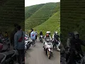 Download Lagu Pemandangan yang sangat indah di kota Majalengka #shorts #video #tempatwisata