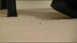 shrunk unaware