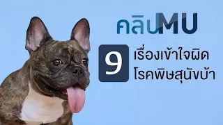 ทำไมการฉีดวัคซีนเรบีส์ถึงต้องทำทุกปี แม้เคยฉีดมาแล้วครั้งหนึ่ง