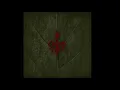 Helvegen - Wardruna