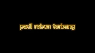 Download Terbang #padi rebon #kotak band #musik pop MP3