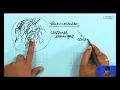 Synthesis of industrial polymers Contd