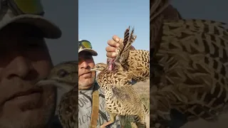 صياد الحسكة صيد الديك بور Part2 