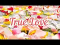 Download Lagu Fumiya Fujii - True Love (Romaji/English)