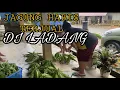 Download Lagu Hujan Lebat!! Jalan Licin Cabaran Yang Dilalui Semasa Menjual Jagung Di Ladang