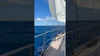 Sailing Aquarius