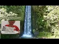 Download Lagu A waterfall in the jungle surrounded by trees