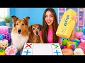 Squishy Trading Challenge with my PETS