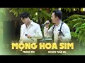 Download Lagu Mộng Hoa Sim | Quách Tuấn Du ft Trung Tín