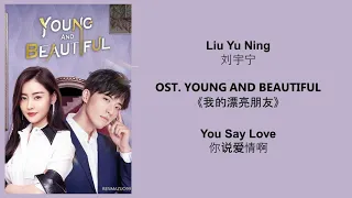 you say love by liu yu ning young and beautiful ost chn pinyin eng lyrics 