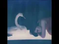 The Marías - Un Millón (extended)