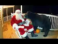 Lagu Try Not To Laugh 😂 Funniest Animals \u0026 Christmas Reactions 2025 🎄