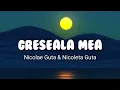 Download Lagu Greseala Mea - Nicolae Guta \u0026 Nicoleta Guta ( lirik \u0026 terjemahan )