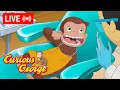 LIVE Curious George Episodes George Learns to Brush His Teeth More