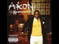 Akon-I Wanna Love You(Clean)