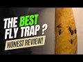 Does Raid Fly Ribbon Work - FULL Fly Trap REVIEW