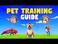 Wizard101 ULTIMATE Pet Training Guide in 2025 PC