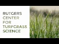 Rutgers Turfgrass Open House 2019