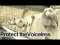 Lagu Bright Eyes: End Cosmetics Testing on Animals NOW